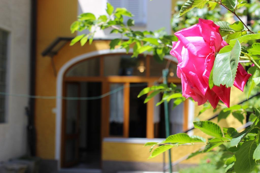 Rose Apartment By Quokka 360 - Refined Two-Bedroom Apartment With Garden Lugano Exteriör bild
